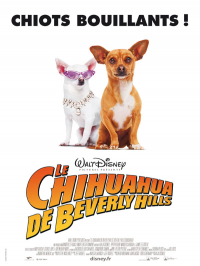 Le Chihuahua de Beverly Hills